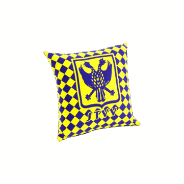 Coussin Brodé Personnalisé