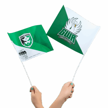 Drapeaux à main en papier