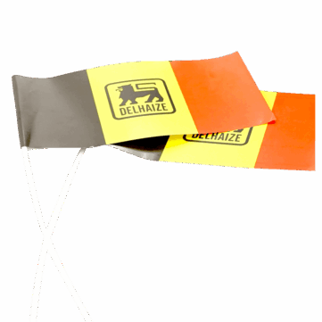 Drapeaux à main en papier