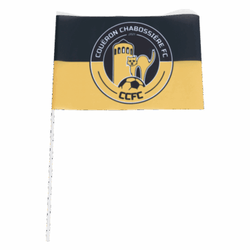 Drapeaux à main