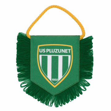 Fanion personnalisé imprimé